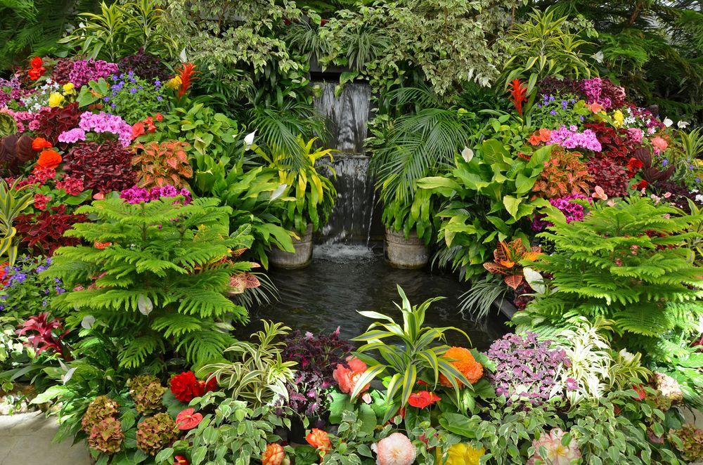 Caribbean Beer, BBQ & Gardens