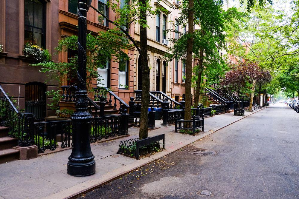 Flavors of New York: A Culinary Journey Through Iconic Neighborhoods